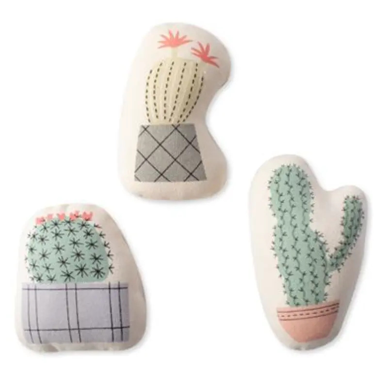 Fringe Potted Cactus Canvas Mini 3 Pack