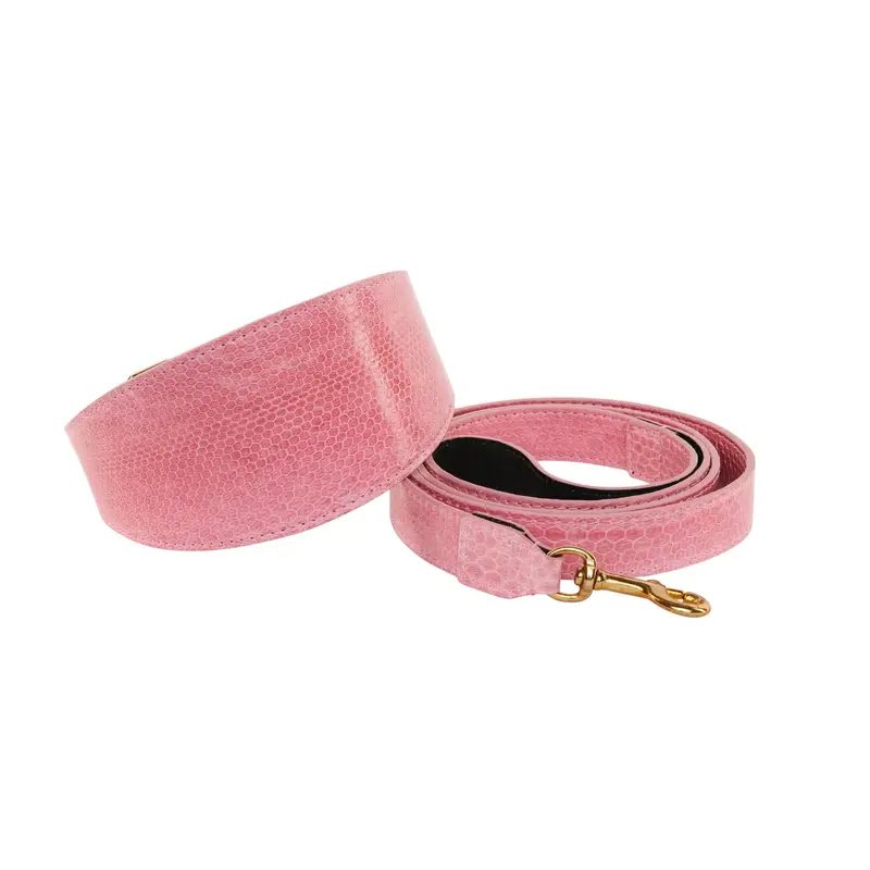 Soft Pink Snake 3 Wide Style Collar & Leash Set