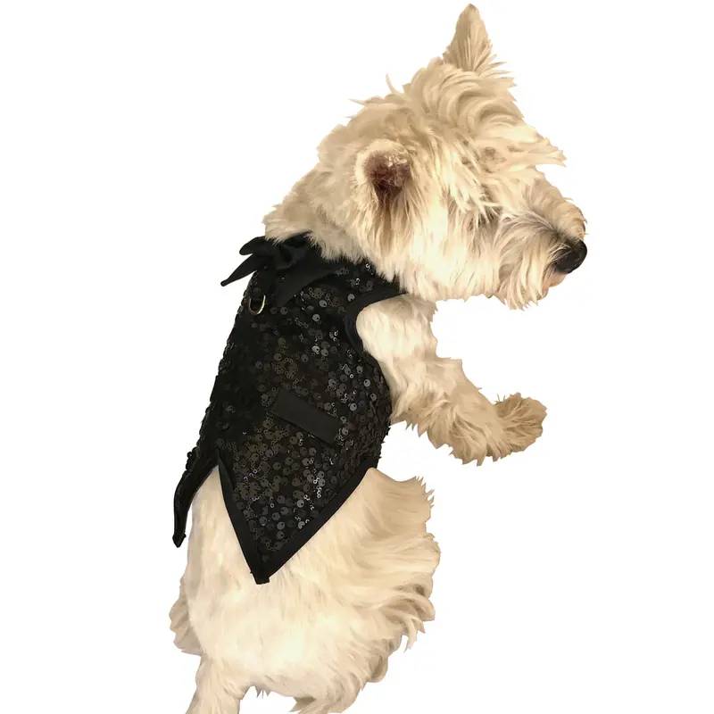 The Gentlemans Doggie Tuxedo, Black Sequins