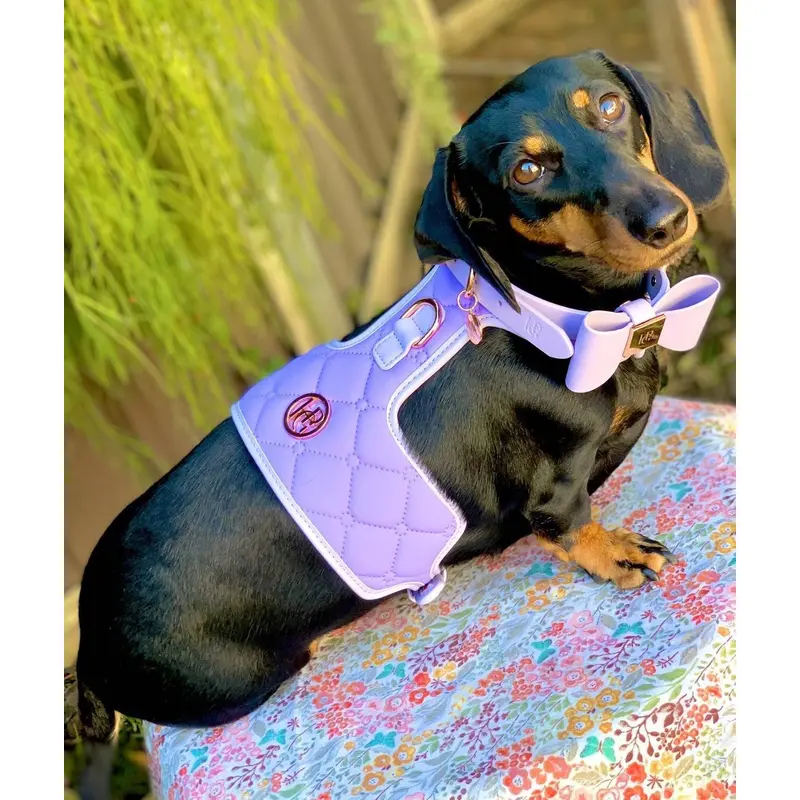 The Lilac Dog Harness