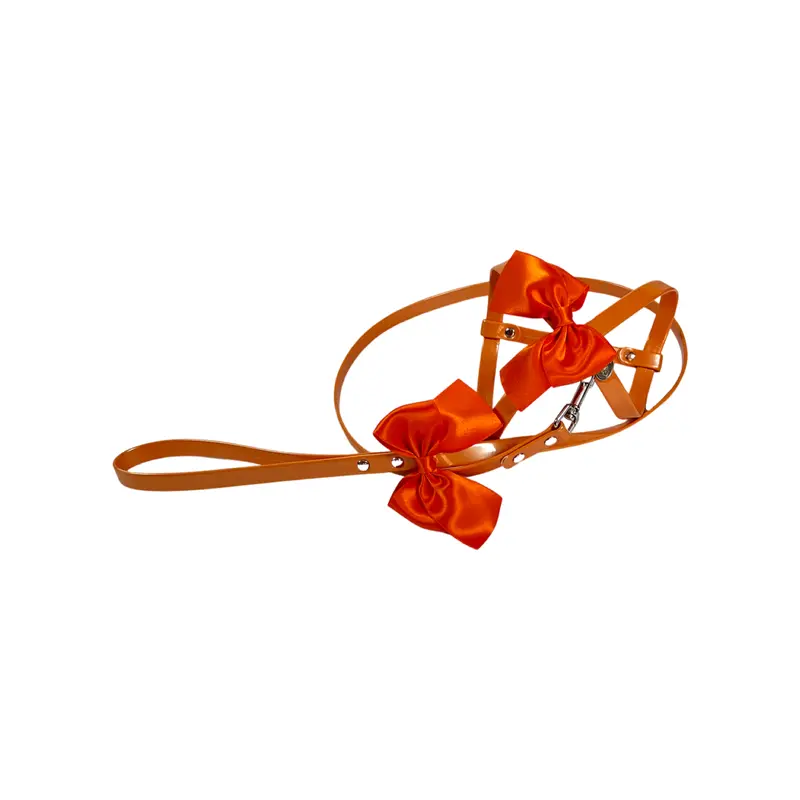 Fashion Dog Harness and Leash Set - Orange Bow