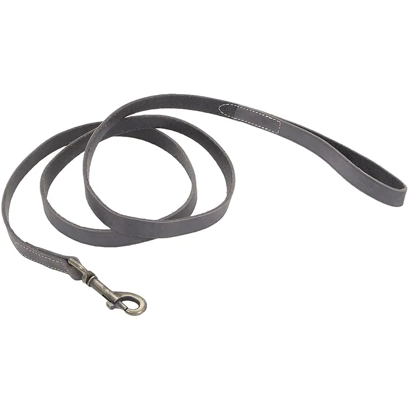 Coastal Circle T Rustic Leather Dog Leash