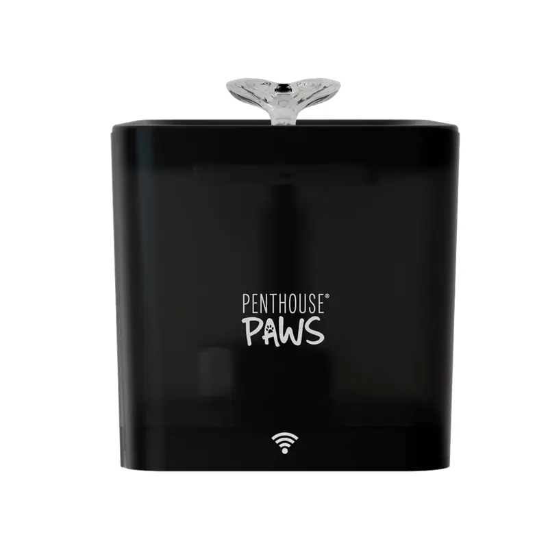 Smart Water Fountain