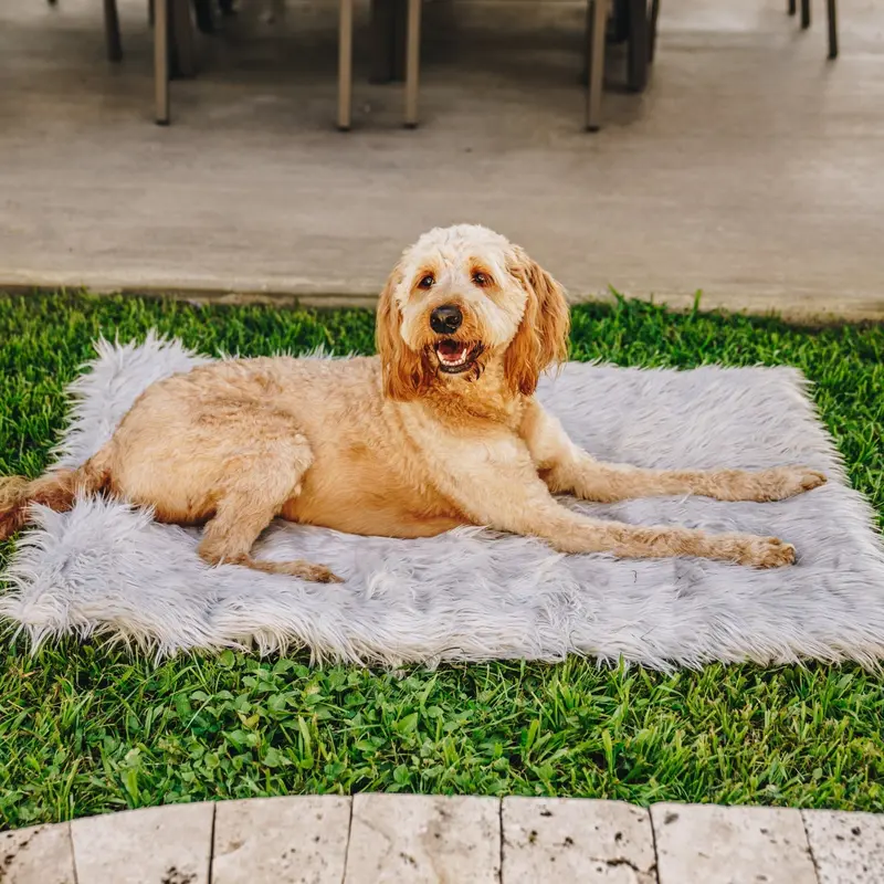 PupRug by Paw.com Portable Orthopedic Dog Bed - Grey