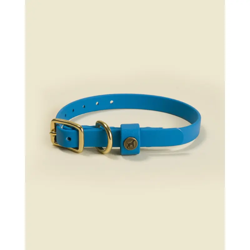 Sporting Puppy Collar - Sky Blue