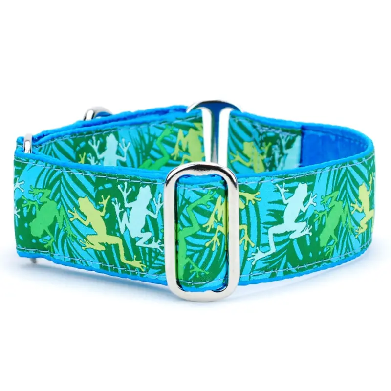 2 Hounds Design Dog Collar - X-Large  20-26" - Coqui Surf