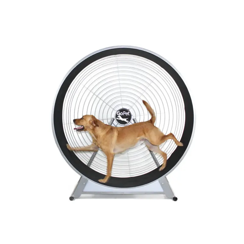 Dog Wheel With Stand Large Breed