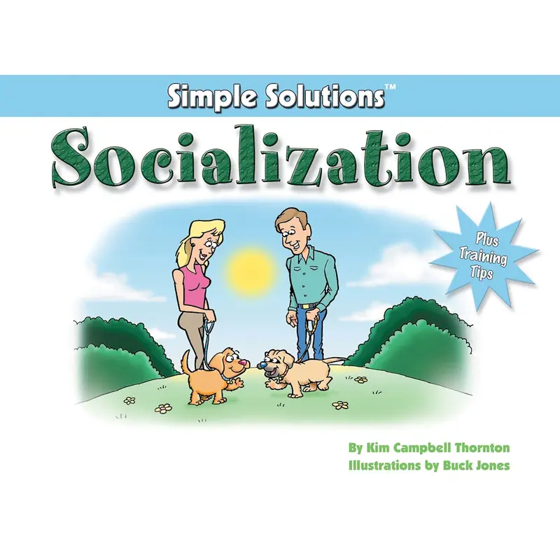 Socialization
