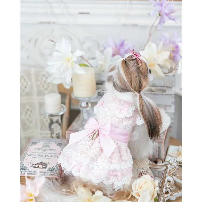Luxury design dog dress vintage lace