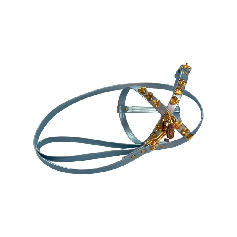 Fashion Dog Harness and Plain Leash Set - Blue with Heart Studs