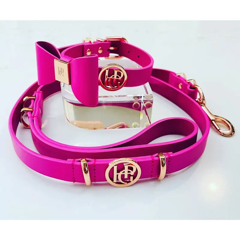Leather Dog Lead (only) - Lipstick