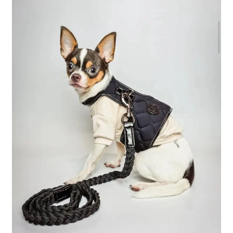 The Raven Dog Harness