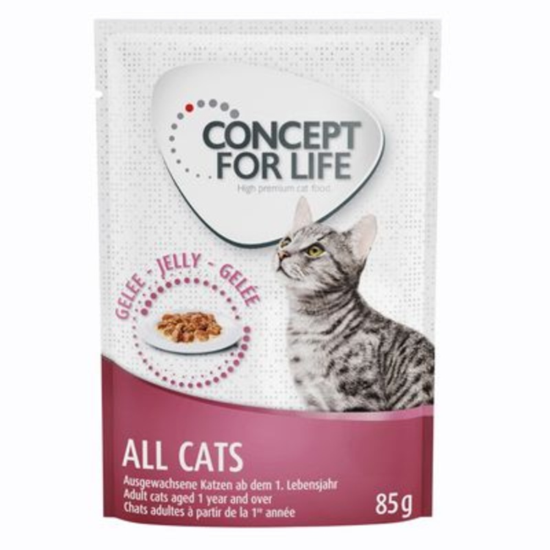 Concept for Life All Cats  in Jelly