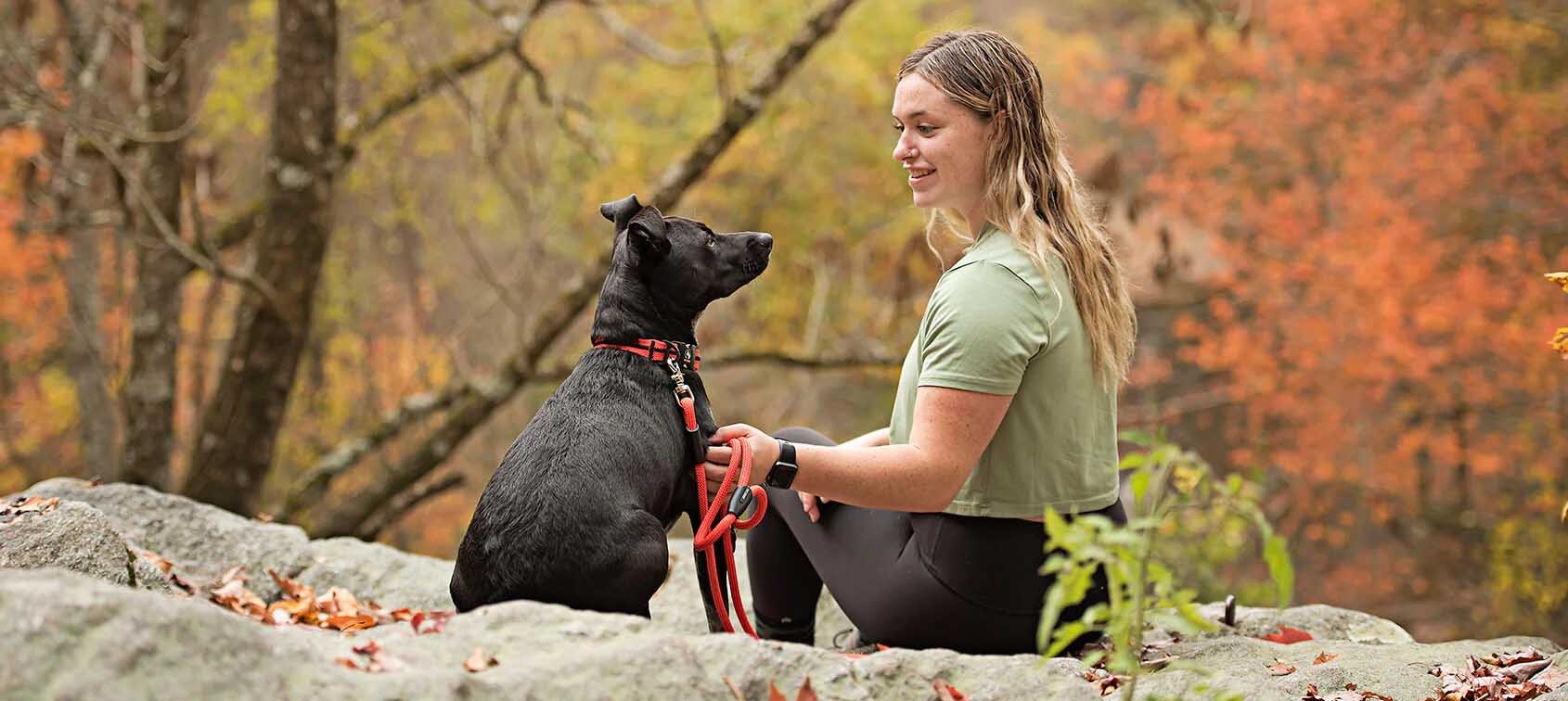 Small Dog Collars – Adjustable & Stylish